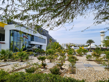 Sustainable Cities